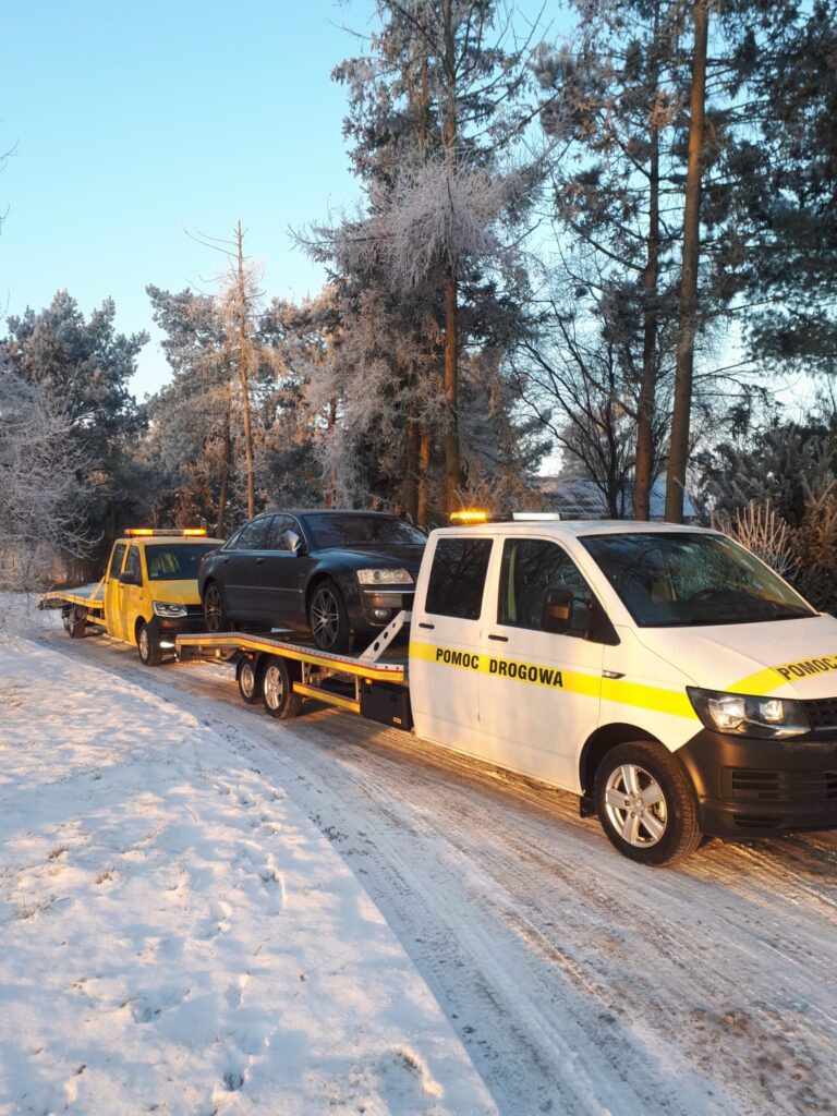 Ciężarówka na poboczu drogi, korzystająca z usługi pomoc drogowa Polska w terenie